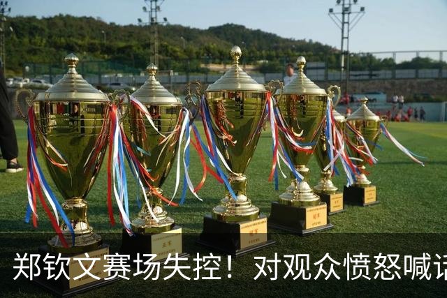 郑钦文赛场失控！对观众愤怒喊话，男粉丝吼到破音